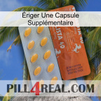 Ériger Une Capsule Supplémentaire 43